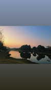 nikoleta.milenova Altpins Profile Picture