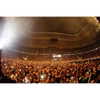 shakira Altpins Profile Picture