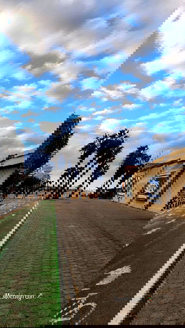 eden__alevy eden__alevy archive image