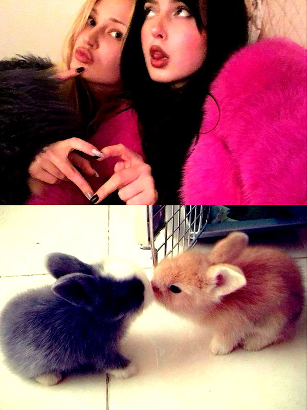 djbabysosh instagram image archive image