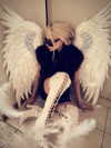 aseynat0r Altpins Profile Picture