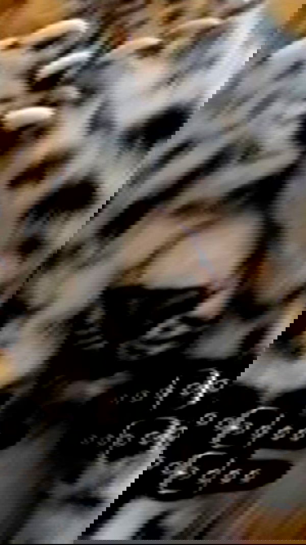 zommmbri zommmbri archive image