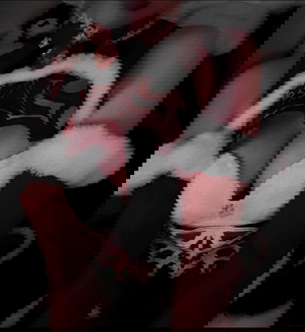 vioraxo vioraxo archive image