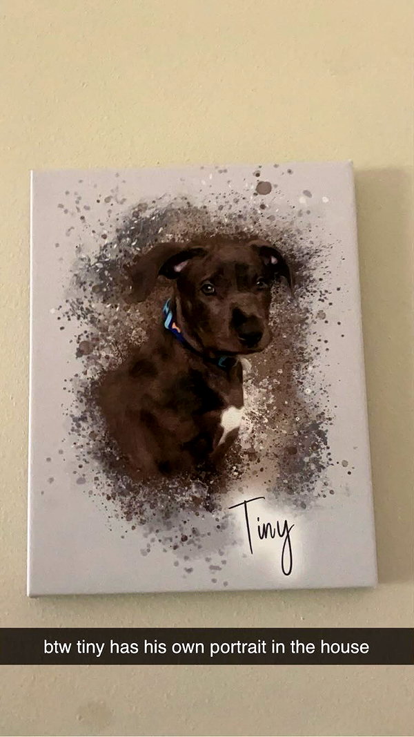 Archived image from @starberrymali on Instagram