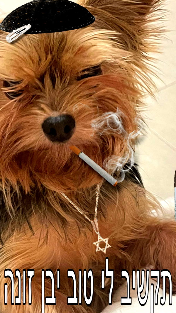 malachshohet instagram image archive image