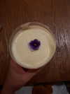 _broock_ Altpins Profile Picture