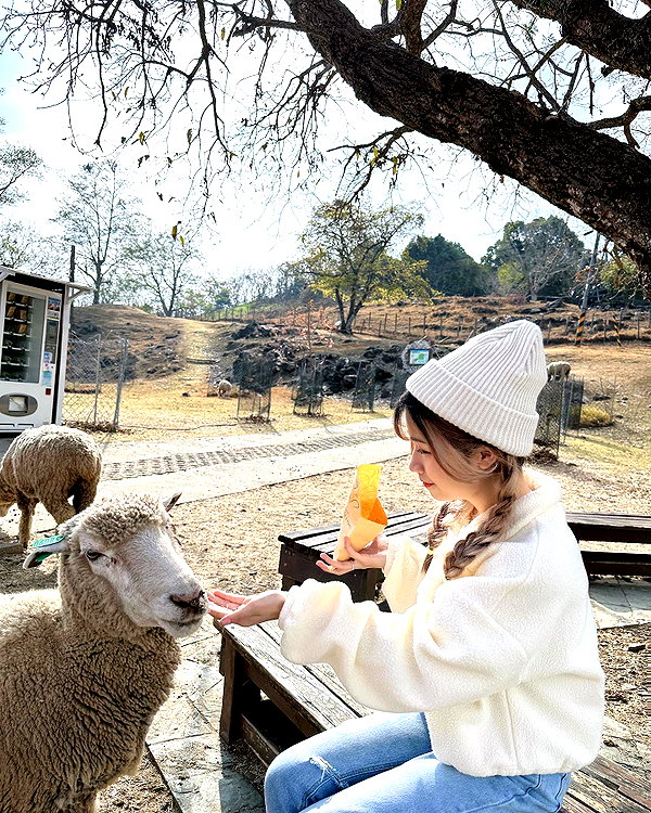 ____sy.02 instagram image archive image
