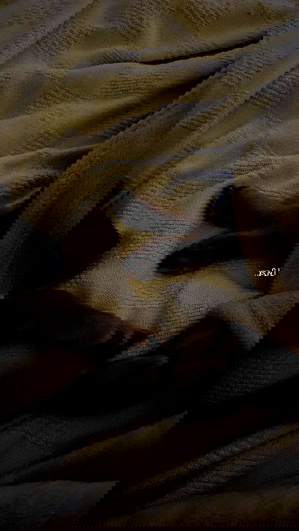 manjolamuriqi manjolamuriqi archive image