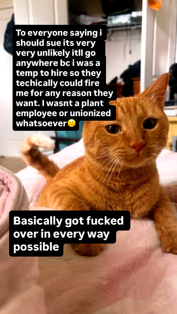 44cbrloveletter instagram image archive image