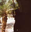 charles_worthington_iii Altpins Profile Picture