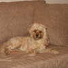 hadas_mayer_ Altpins Profile Picture