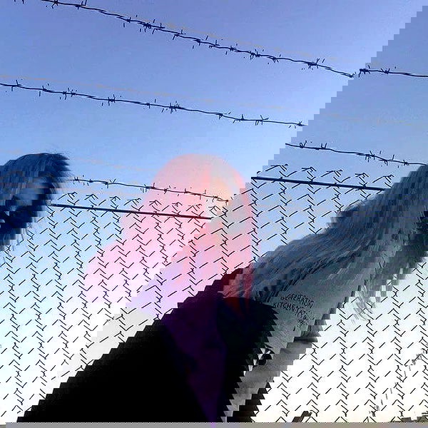 annfigmax image ~ Altpins