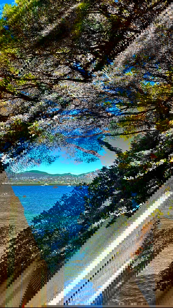 taylor.creeden taylor.creeden archive image