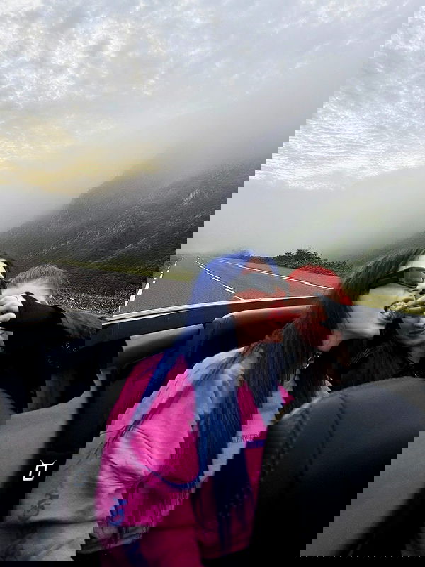 annfigmax image ~ Altpins