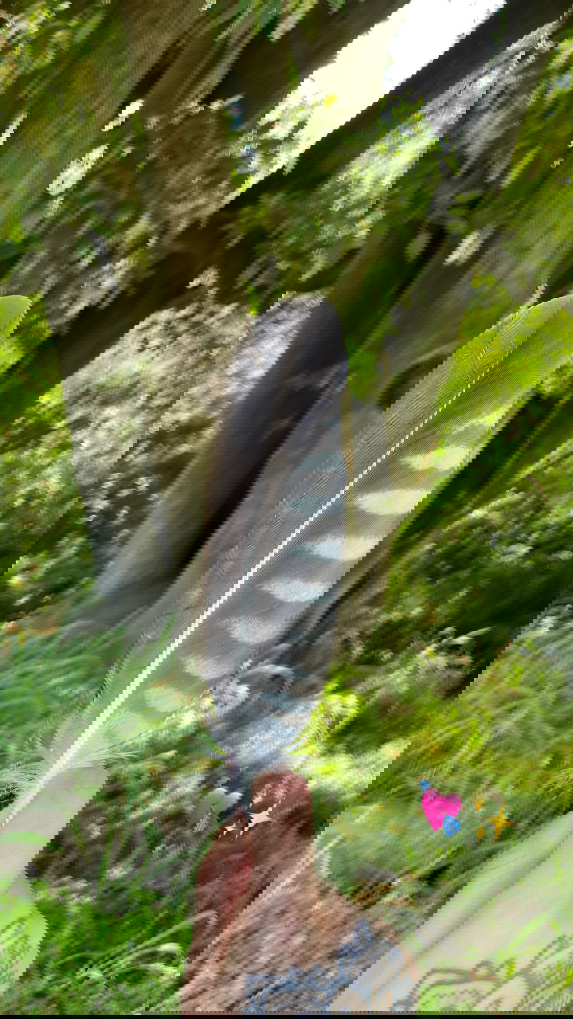 shunli__mei instagram image archive image