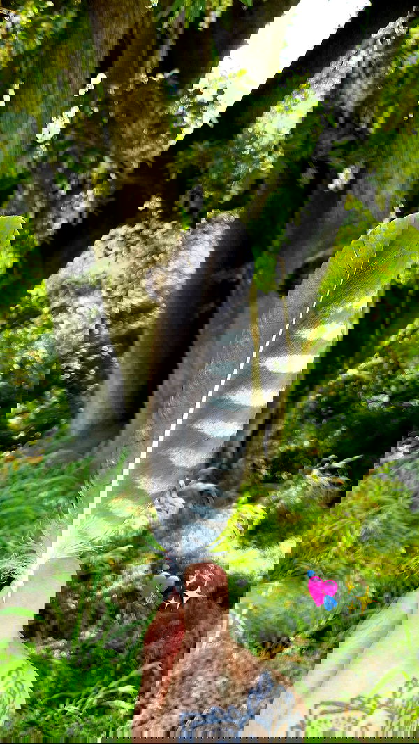 shunli__mei image ~ Altpins