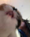 mewisa Altpins Profile Picture