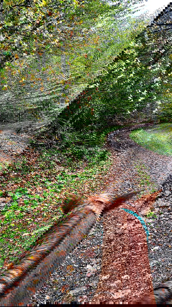 taylor.creeden taylor.creeden archive image