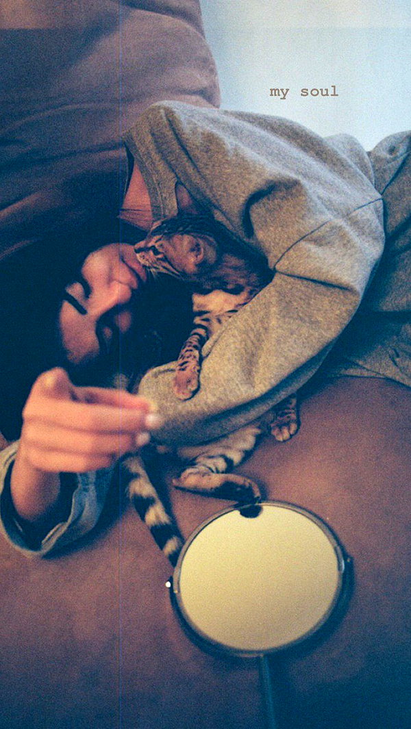 sabiyo instagram image archive image