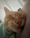 owlydiaa Altpins Profile Picture