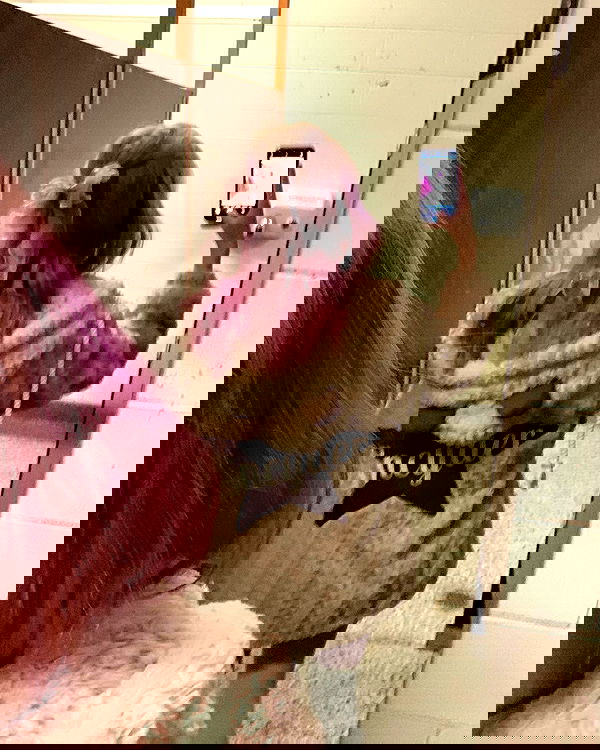 9bitez 9bitez archive image