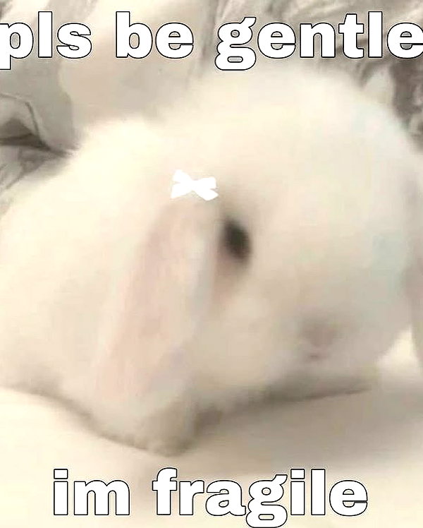 bakabakafuwa instagram image archive image