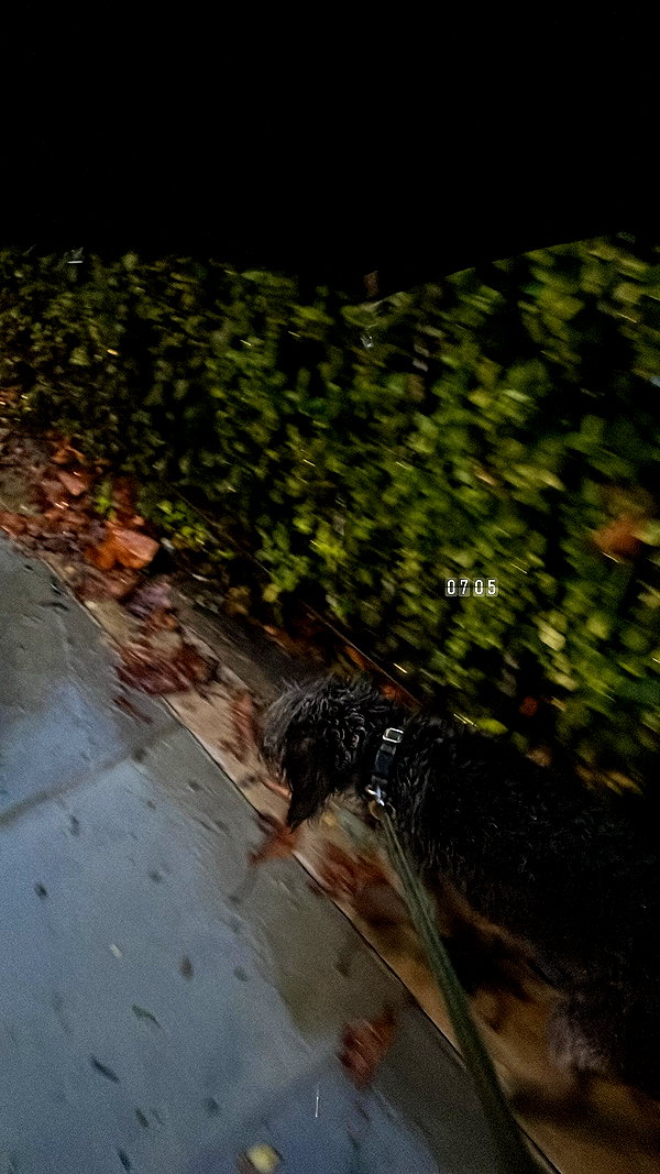 777pb_ instagram image archive image
