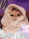 milkiwifey Altpins Profile Picture