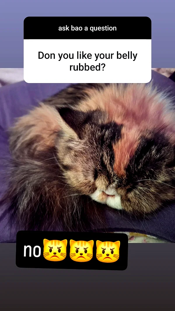 mirekyarahire instagram image archive image