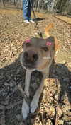 1uvgabi Altpins Profile Picture