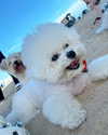 dear.zia Altpins Profile Picture