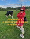antijuls Altpins Profile Picture