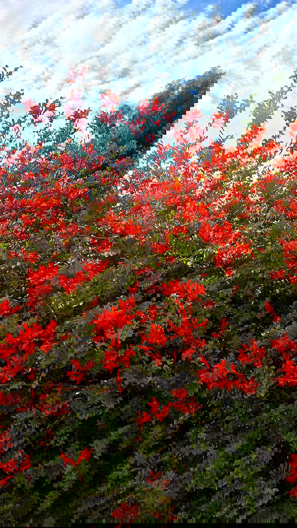 avital_1010.2003 avital_1010.2003 archive image