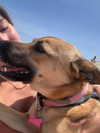 michal_cohen017 Altpins Profile Picture