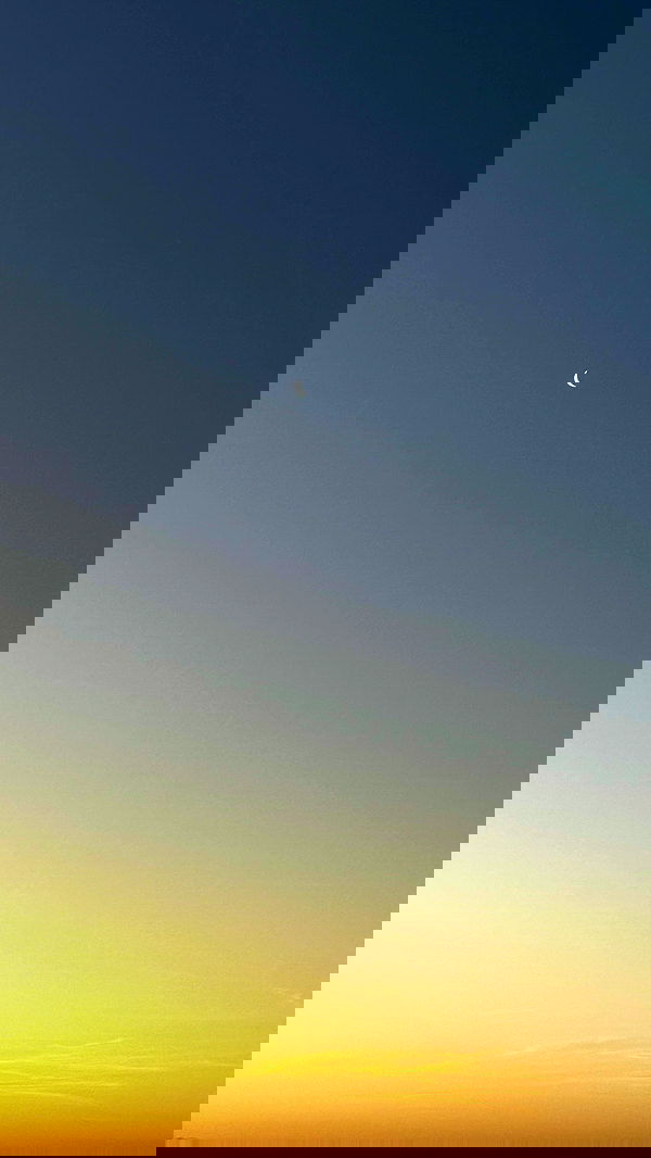 taylor.creeden taylor.creeden archive image