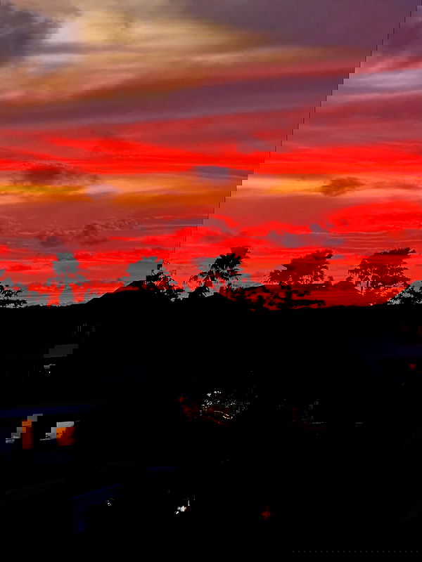 taylor.creeden taylor.creeden archive image