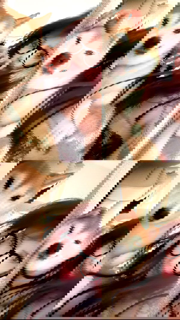 zommmbri zommmbri archive image