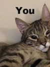 lola.luvgood Altpins Profile Picture