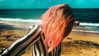 ashleybenson Altpins Profile Picture