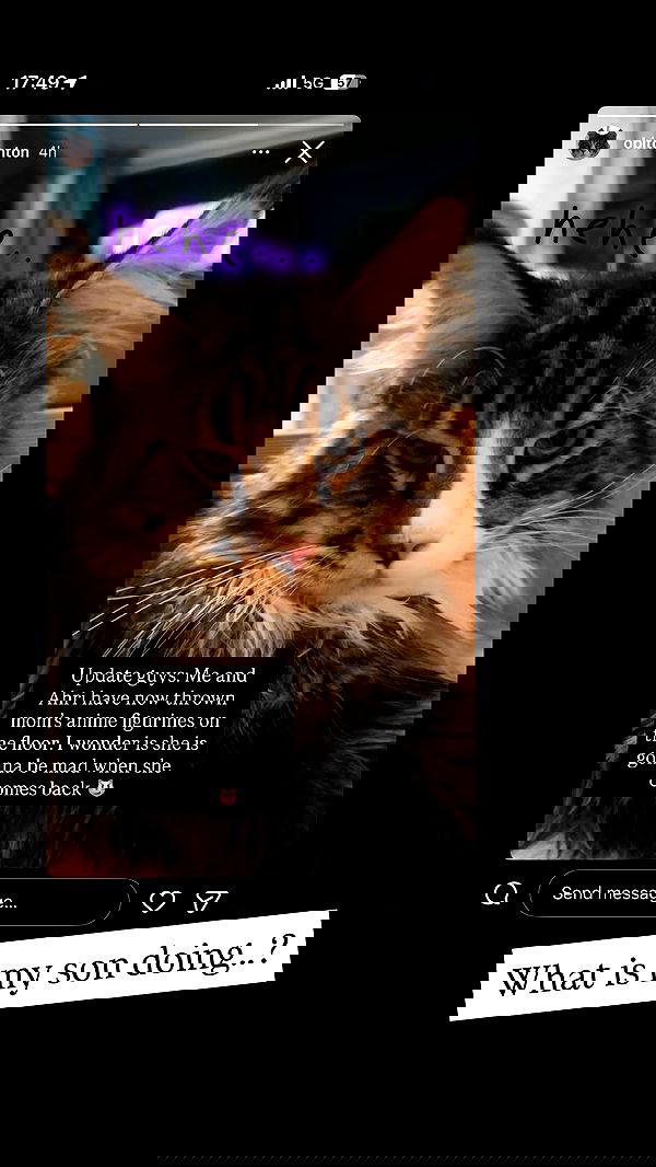 silkton image ~ Altpins