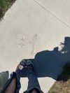 astarwbry_ Altpins Profile Picture