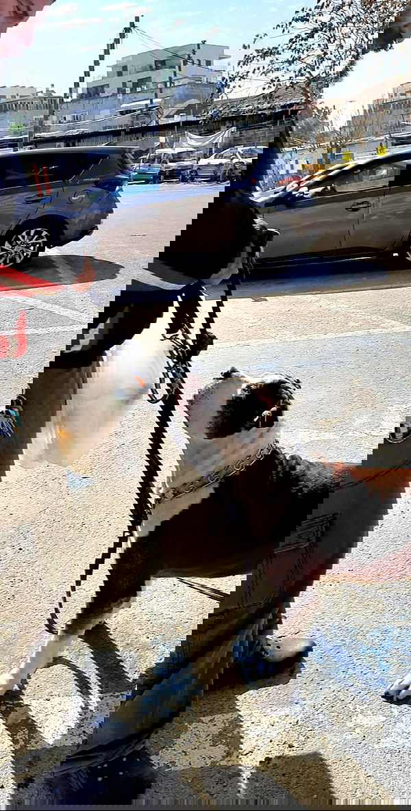 noyaislilith333 noyaislilith333 archive image