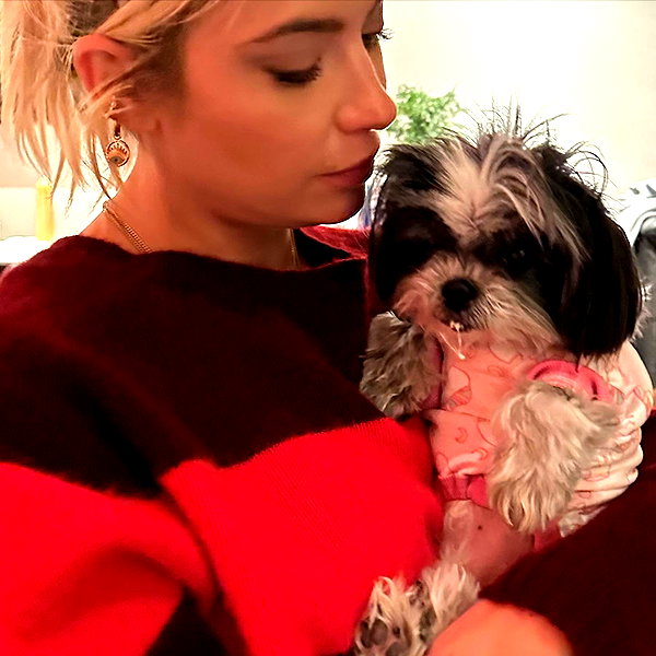 ashleybenson instagram image archive image