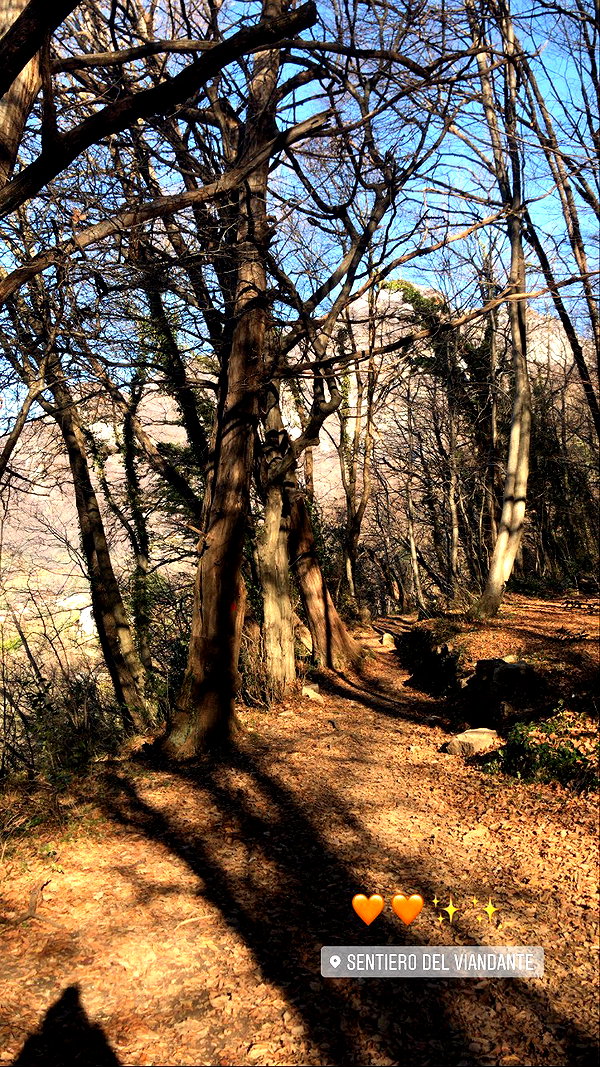 rott3nbambi instagram image archive image