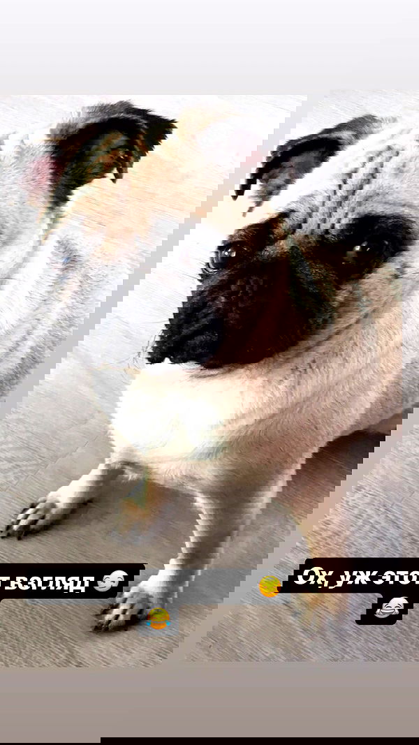 nyityam nyityam archive image