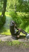 _dead__cherry_ Altpins Profile Picture