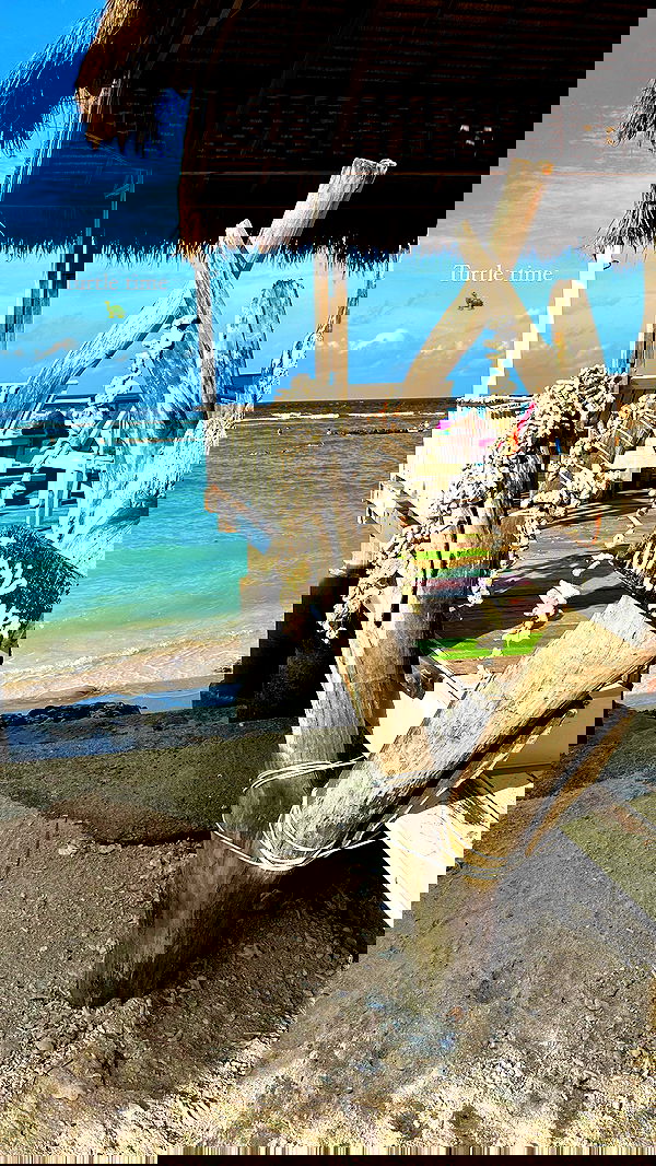 taylor.creeden taylor.creeden archive image