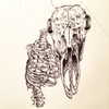 kayyybear Altpins Profile Picture