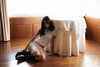 ainaratorneg Altpins Profile Picture
