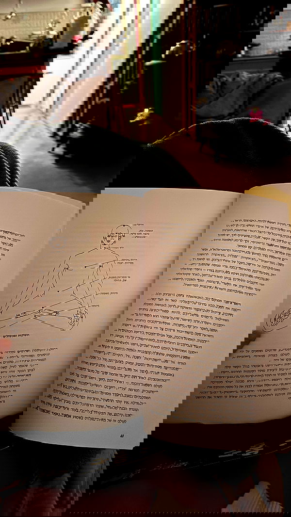 iambohema.v2 iambohema.v2 archive image